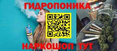прущая мука Кингисепп