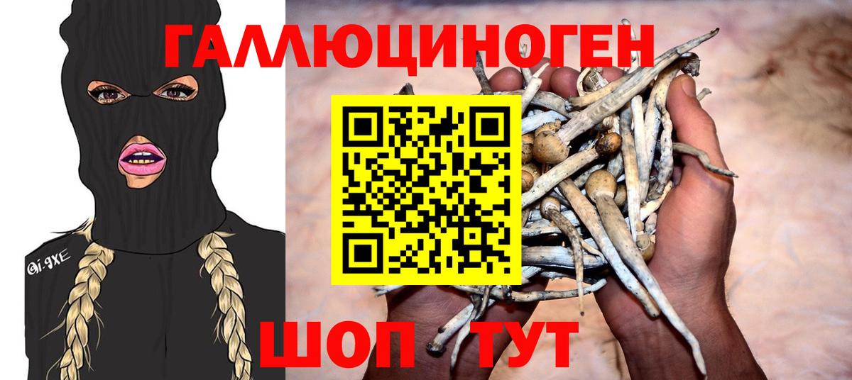 Псилоцибиновые грибы ЛСД  Галлюциногенные грибы Psilocybe  где купить   Вход с VPN  Чернушка 